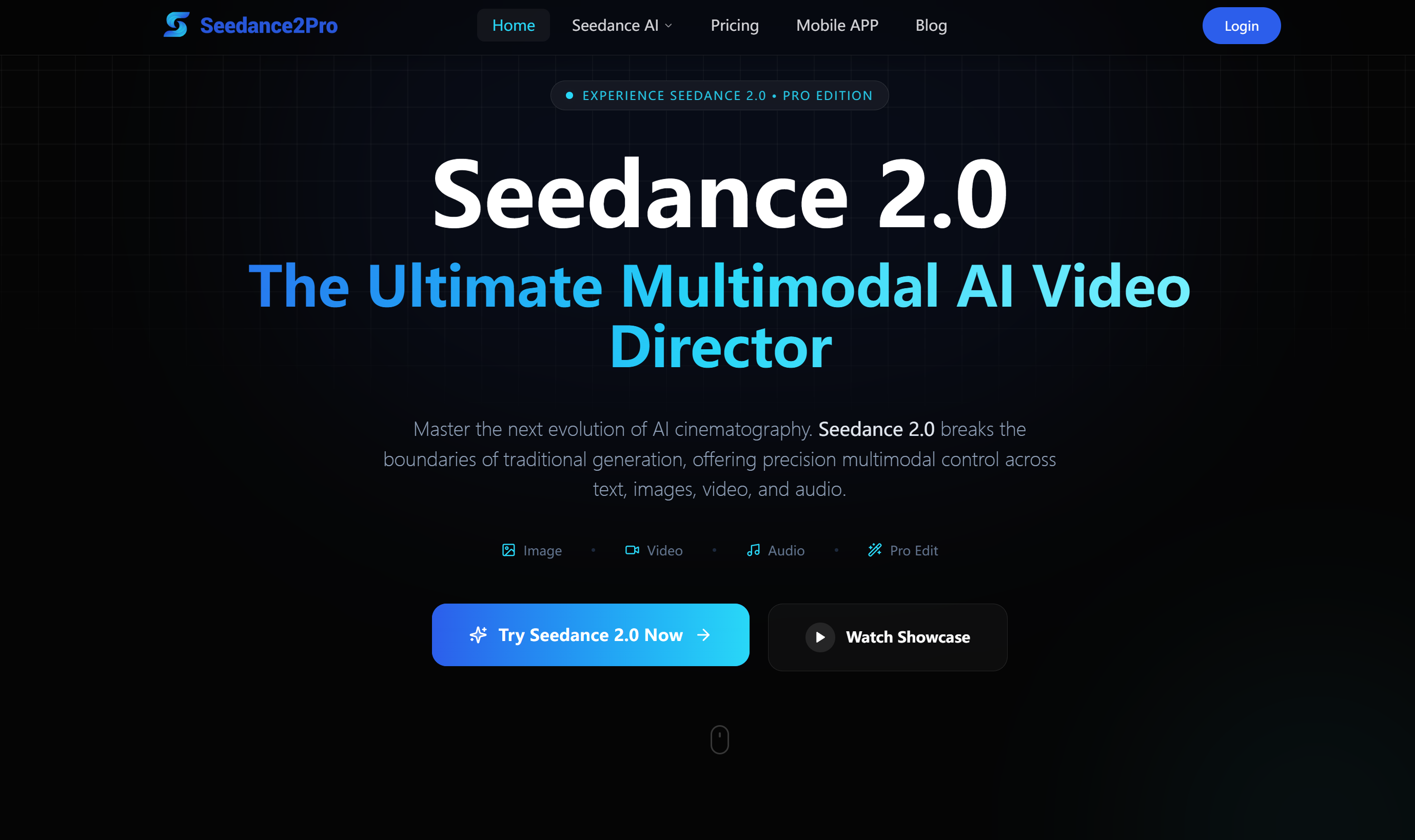 Seedance 2.0 screenshot 1