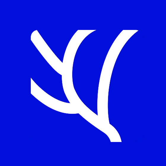 TeestaAI